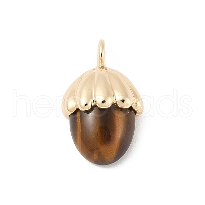 Natural Tiger Eye Pendants KK-Z107-02G-02-1