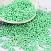 Baking Paint Glass Seed Beads SEED-S042-05B-59-1