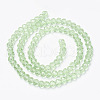 Glass Beads Strands X-EGLA-A034-T4mm-D09-2