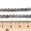 Natural Labradorite Beads Strands G-G213-4mm-03-2