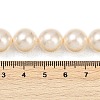 Shell Pearl Beads Strands BSHE-XCP0001-62A-4
