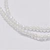 Natural White Moonstone Beads Strands G-E352-01-3