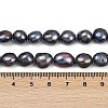 Natural Cultured Freshwater Pearl Beads Strands PEAR-P064-20K-03D-5
