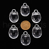 Autumn Theme Transparent Acrylic Pendants TACR-T024-04B-205-4