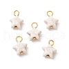 Crackle Opaque Acrylic Pendants PALLOY-JF03924-02-1
