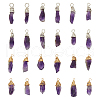 HOBBIESAY 32Pcs 2 Colors Natural Amethyst Pendants PALLOY-HY0001-05-1