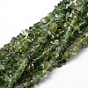 Natural Green Apatite Chip Beads Strands X-G-E241-83-1