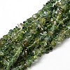 Natural Apatite Chip Beads Strands X-G-E241-83-1