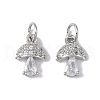 Rack Plating Brass Micro Pave Cubic Zirconia Charms KK-E110-12P-1