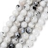 Natural Rainbow Moonstone Beads Strands G-Q1001-A05-02-2
