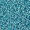 TOHO Round Seed Beads X-SEED-TR11-0023F-2