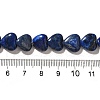Natural Lapis Lazuli Beads Strands G-R190-10mm-54A-5
