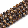 Natural Tiger Eye Beads Strands G-S333-6mm-001-1