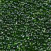 Glass Seed Beads SEED-K009-10B-01-3
