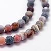 Frosted Natural Weathered Agate Beads Strands G-F367-8mm-07-3