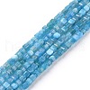 Natural Apatite Beads Strands G-P457-B01-14A-1