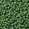 TOHO Round Seed Beads X-SEED-TR11-0407F-2