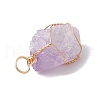 Raw Rough Natural Amethyst Copper Wire Wrapped Pendants PALLOY-JF02787-02-4