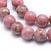 Natural Rhodonite Beads Strands G-G823-06-8mm-3