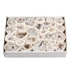 Natural Geode Agate Druzy Agate Display Decorations DJEW-I014-01C-1