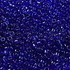 Transparent Colours Glass Seed Beads SEED-S042-11A-06-3
