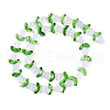 Transparent Glass Bead Strands GLAA-K070-02E-2