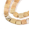 Natural Yellow Opal Beads Strands G-N346-05A-09-4