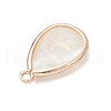 3Pcs 3 Styles Natural Paua Shell Teardrop Pendants PALLOY-JF03762-5