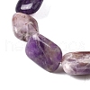 Natural Amethyst Beads Strands G-S386-A12-4