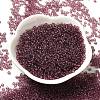 Transparent Colours Glass Round Seed Beads SEED-B001-06A-01-2