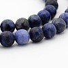 Sodalite Round Bead Strands G-P070-46-8mm-1