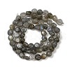Natural Labradorite Beads Strands G-Q060-B02-3