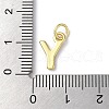 Rack Plating Brass Charms KK-P245-06G-Y-3