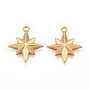 304 Stainless Steel Pendants STAS-N109-103G-1