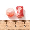 Mixed Style Glass Beads GLAA-XCP0012-02L-3