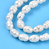 Natural Cultured Freshwater Pearl Beads Strands PEAR-N012-04L-4
