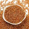Glass Seed Beads X1-SEED-S042-04A-11-2