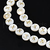 Natural Freshwater Shell Beads SHEL-S276-168X-3