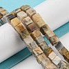 Natural Crazy Lace Agate Beads Strands G-Q1008-B11-4
