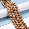 Natural Picture Jasper Beads Strands G-E571-28B-2