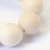 Frosted Natural Fossil Round Bead Strands G-E334-12mm-22-4