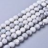Natural Howlite Beads Strands G-L538-023-1