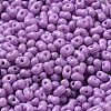 Baking Paint Glass Seed Beads SEED-K009-01B-11-3