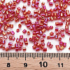Glass Bugle Beads SEED-S032-10A-165B-4
