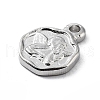 Non-Tarnish 304 Stainless Steel Charms STAS-K271-03P-2