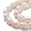 Natural Cultured Freshwater Pearl Beads Strands PEAR-L033-64-01-2