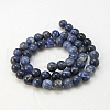 Natural Sodalite Beads Strands G-E110-4mm-3-2