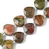 Natural Unakite Beads Strands G-D316-A13-2