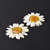 Opaque Resin Flower Cabochons RESI-L036-07C-3