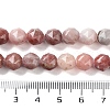 Natural Plum Blossom Jasper Beads Strands G-NH0021-A20-01-5